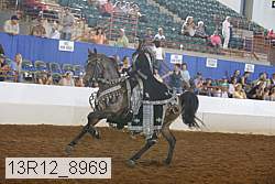 13r12_8969 proof