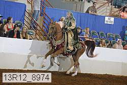 13r12_8974 proof