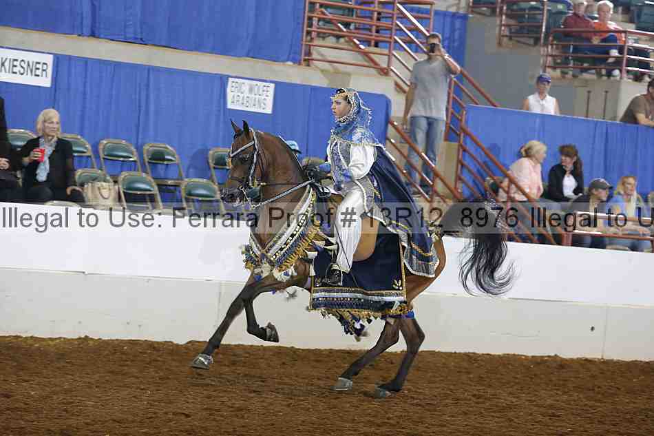 Proof 13r12_8976