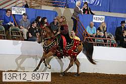 13r12_8977 proof
