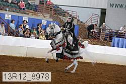 13r12_8978 proof