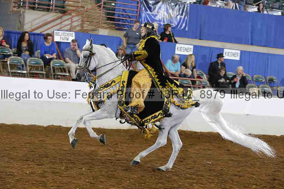 Proof 13r12_8979