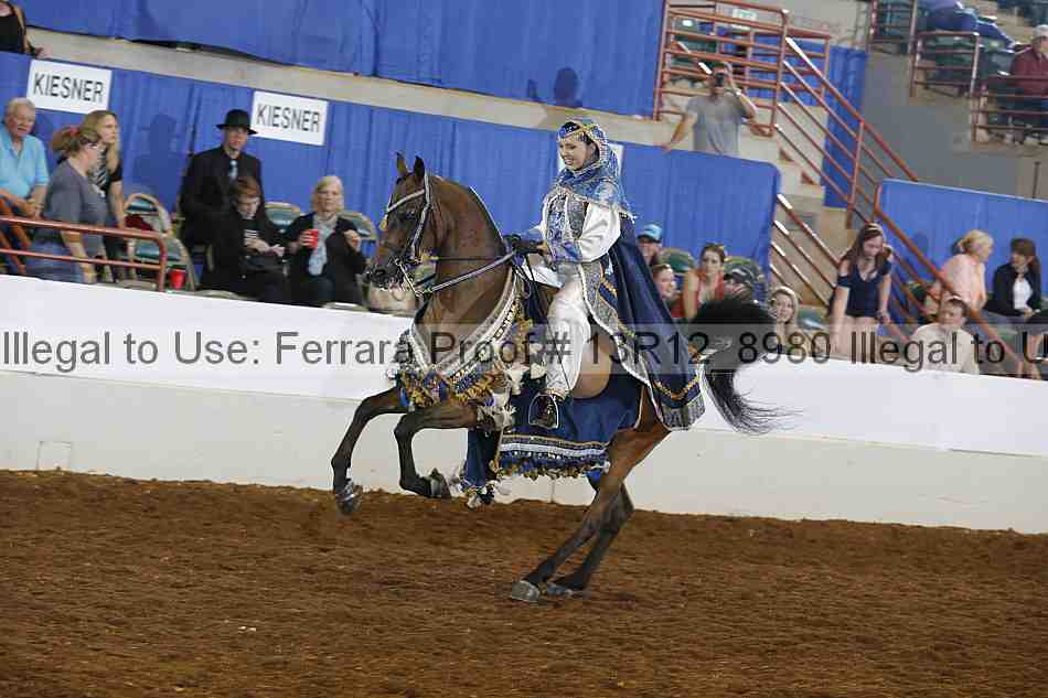 Proof 13r12_8980
