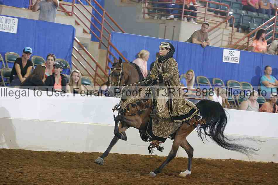 Proof 13r12_8981
