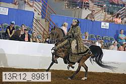 13r12_8981 proof