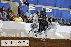 13r12_8985 proof