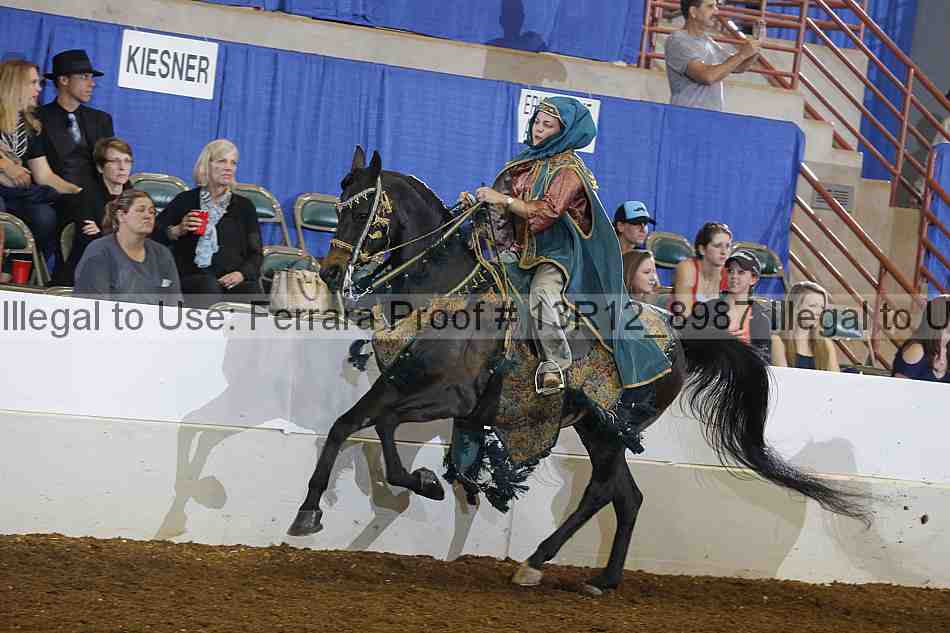 Proof 13r12_8987
