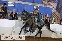 13r12_8987 proof