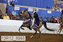 13r12_8993 proof