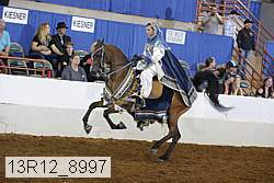 13r12_8997 proof