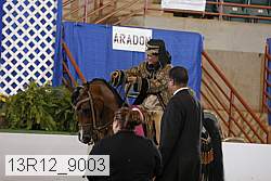 13r12_9003 proof
