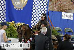 13r12_9006 proof