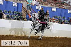 13r12_9017 proof