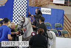 13r12_9018 proof