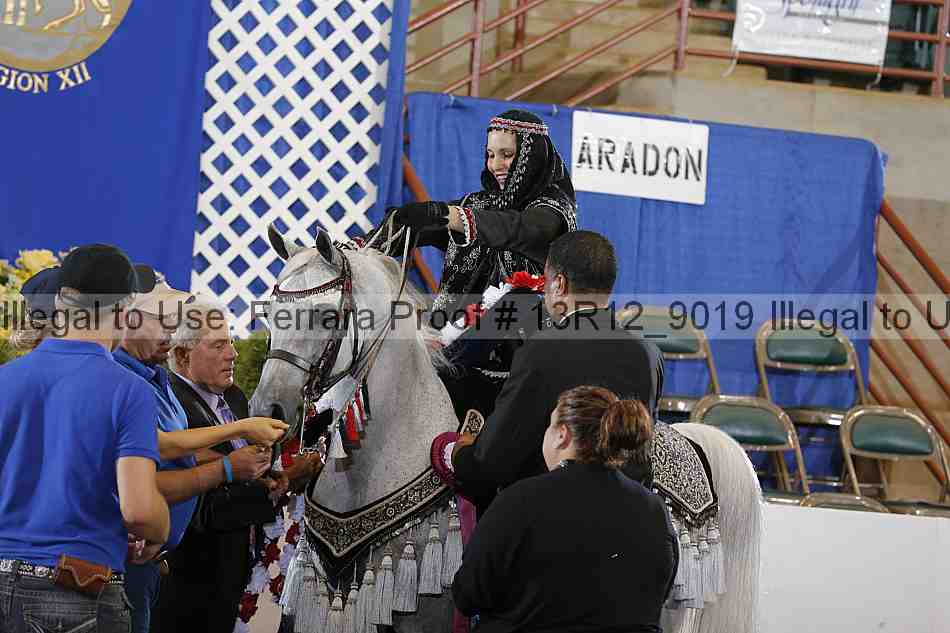 Proof 13r12_9019