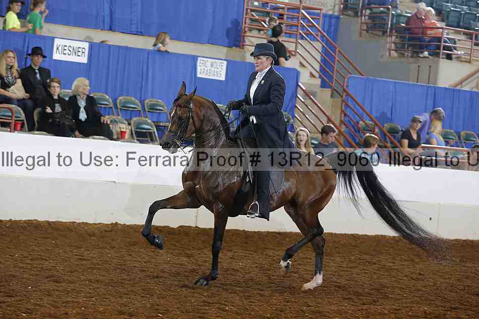 Proof 13r12_9060