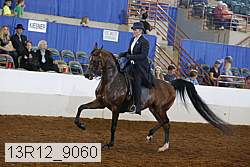 13r12_9060 proof