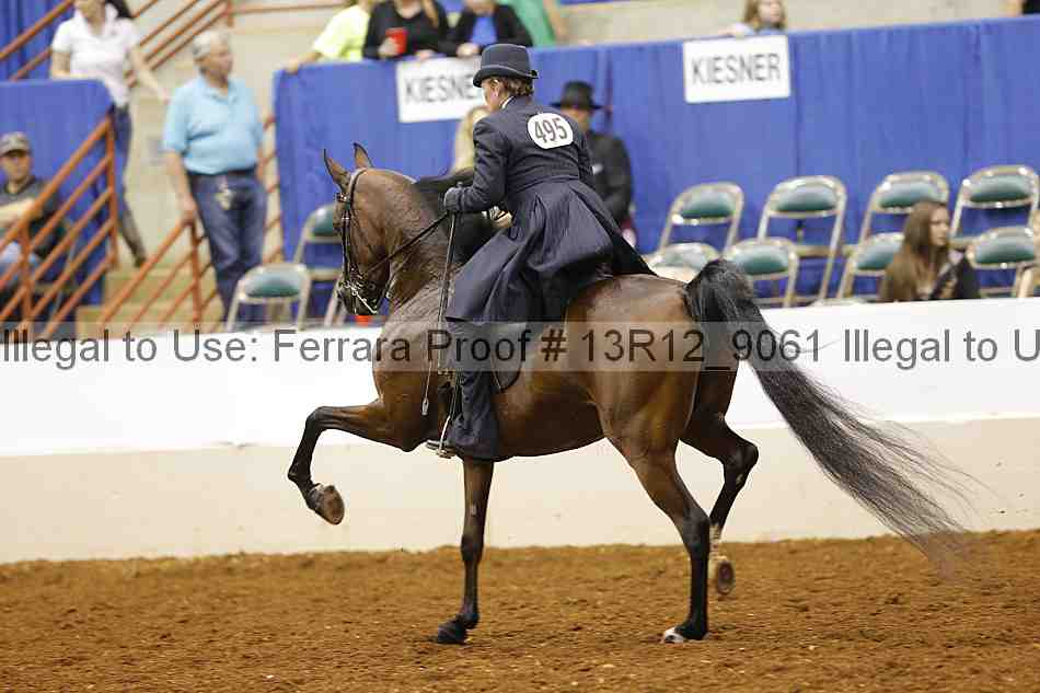 Proof 13r12_9061