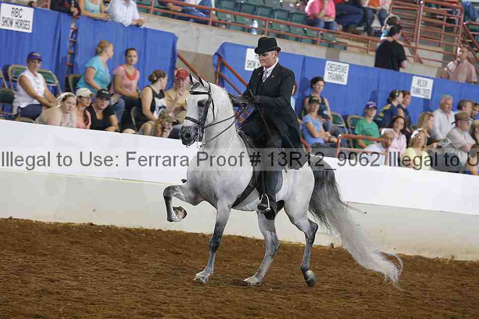 Proof 13r12_9062