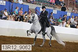 13r12_9062 proof