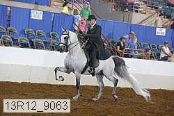 13r12_9063 proof