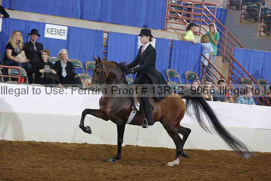 Proof 13r12_9066