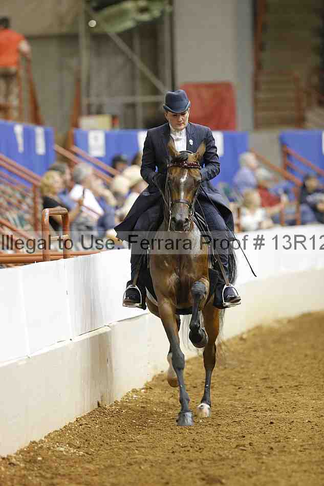 Proof 13r12_9067
