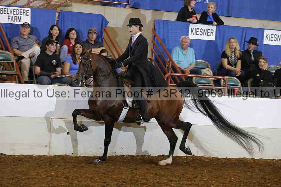 Proof 13r12_9069