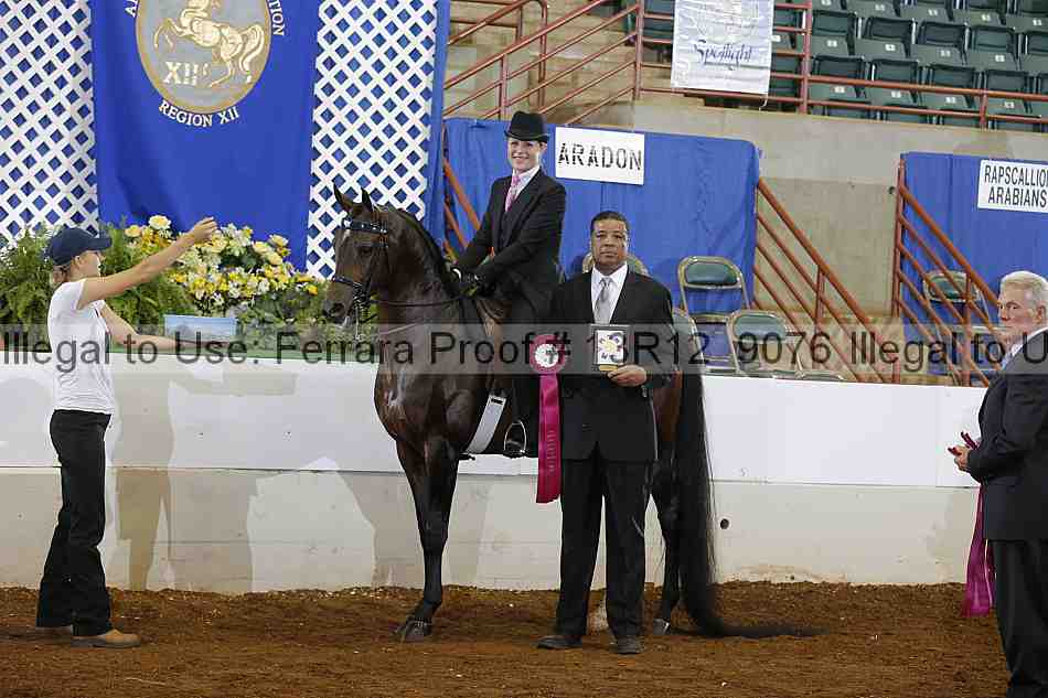 Proof 13r12_9076