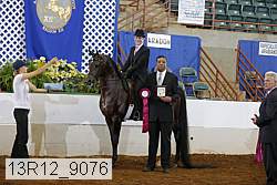 13r12_9076 proof
