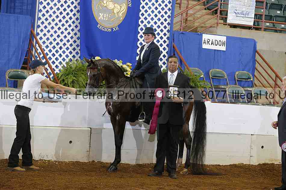 Proof 13r12_9077
