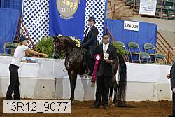 13r12_9077 proof