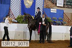 13r12_9078 proof