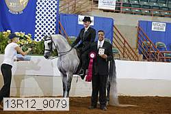 13r12_9079 proof