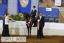 13r12_9083 proof