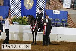 13r12_9084 proof