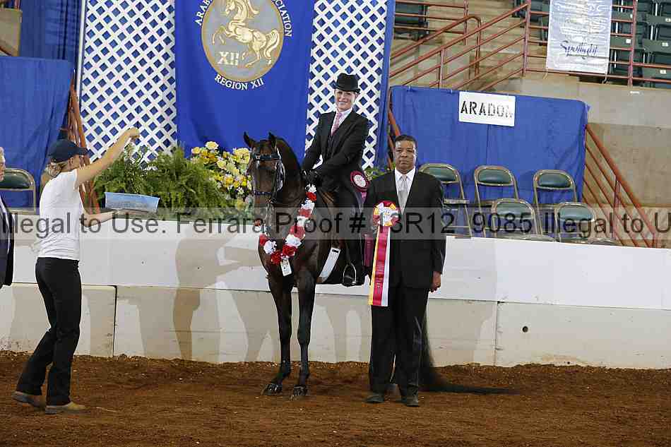 Proof 13r12_9085