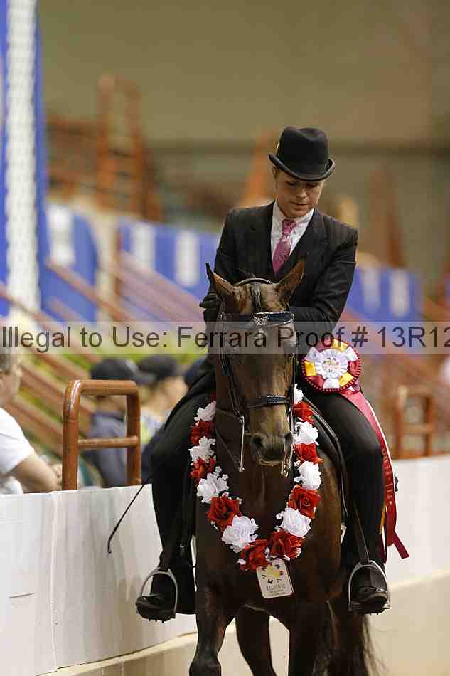 Proof 13r12_9086