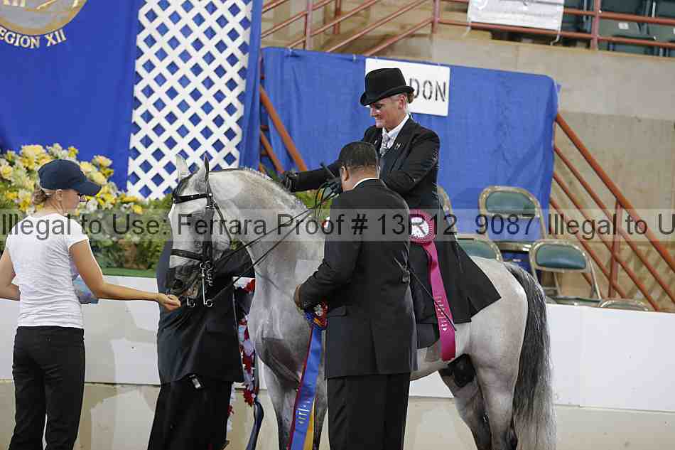 Proof 13r12_9087