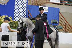 13r12_9087 proof