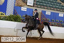 13r12_9094 proof