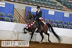 13r12_9097 proof