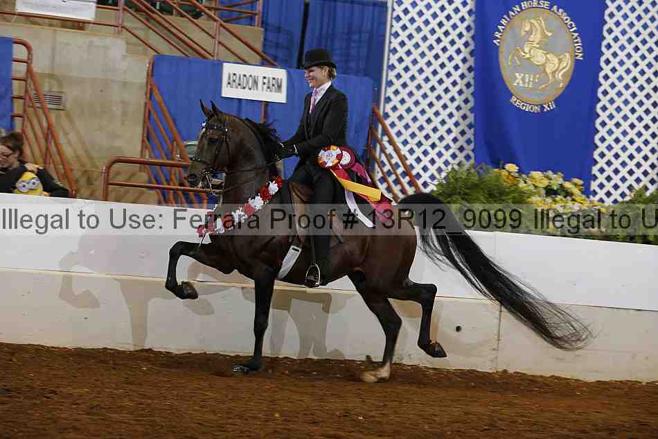 Proof 13r12_9099