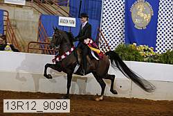 13r12_9099 proof