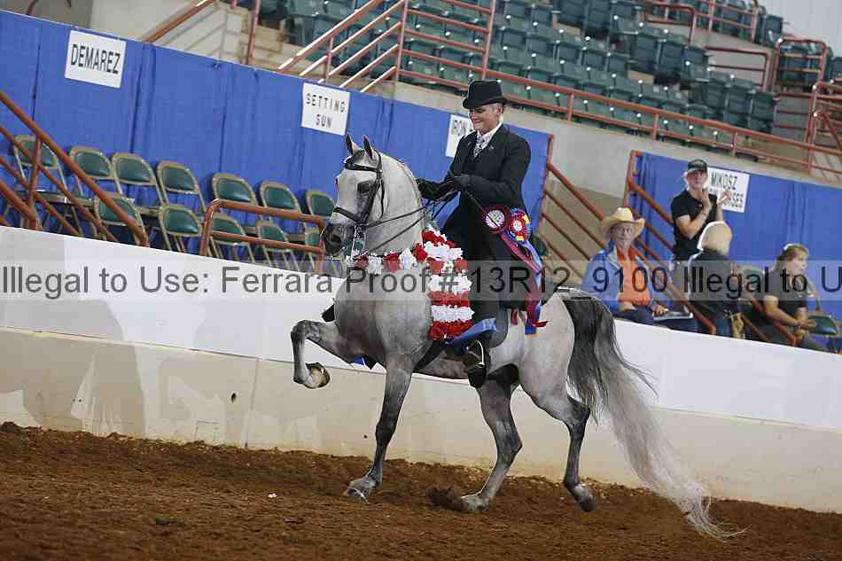 Proof 13r12_9100