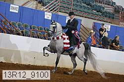 13r12_9100 proof