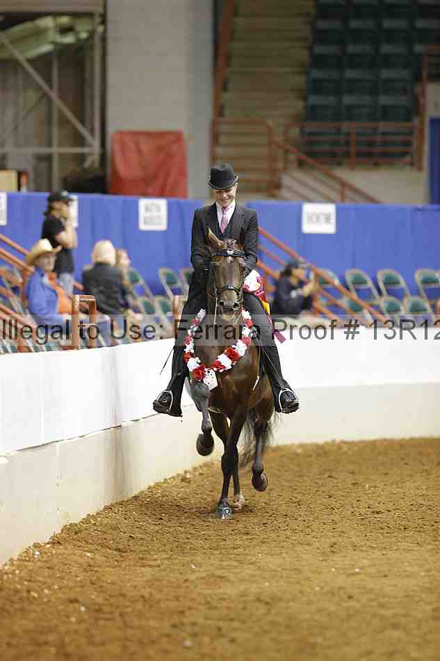 Proof 13r12_9101