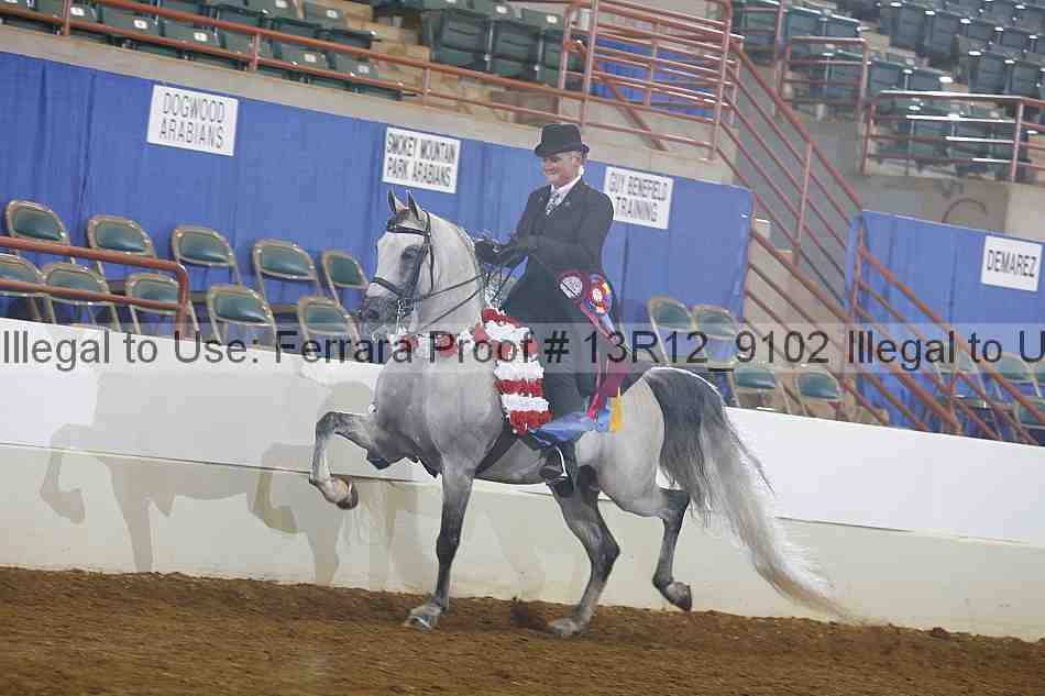 Proof 13r12_9102