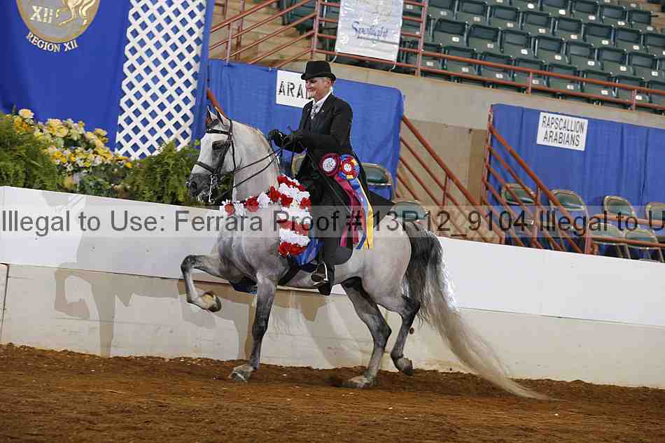 Proof 13r12_9104