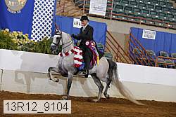 13r12_9104 proof